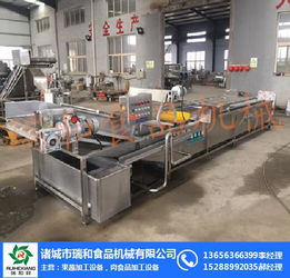 瑞和食品机械公司 高效竹笋清洗机引领行业标准