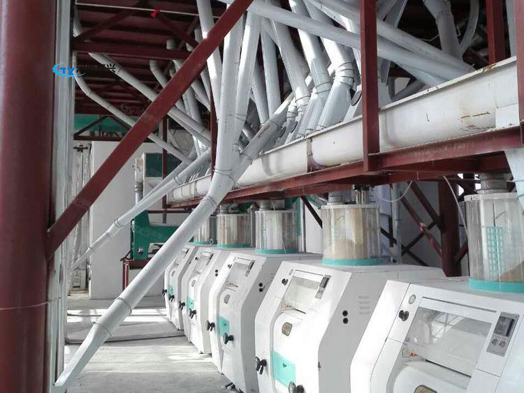 面粉机械设备在国内的广泛应用与出口前景